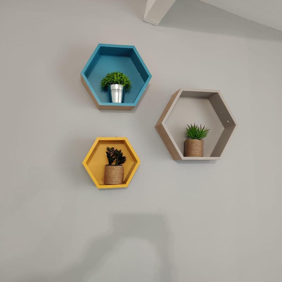 Apartament Nouvel Oasis Toulouse Minimes Zewnętrze zdjęcie